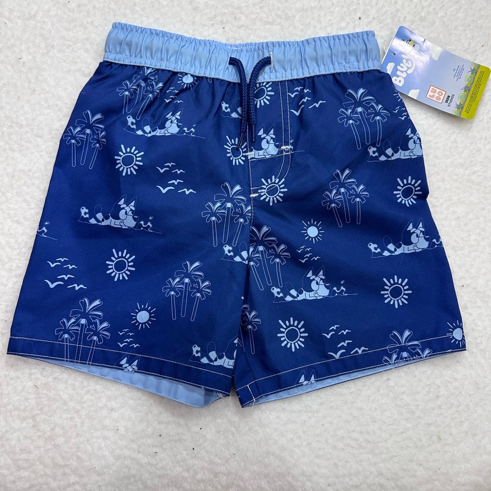 Boy’s Bluey Swim Trunks
